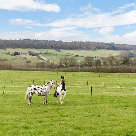 度假居 Cowslip - Uk51201