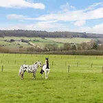 Nyaraló Cowslip - Uk51201